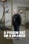 Watch A Pigeon Sat on a Branch Reflecting on Existence Movie Online