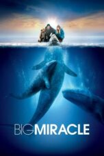 Watch Big Miracle (2012) Movie Online