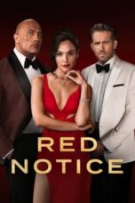 Watch Red Notice (2021) Streaming