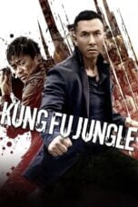 Watch Kung Fu Jungle Streaming