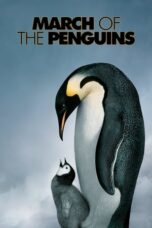 Watch March of the Penguins Movie Online