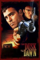 Watch From Dusk Till Dawn Streaming