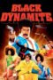 Watch Black Dynamite (2009) Movie Online