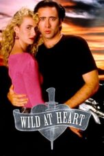 Watch Wild at Heart Streaming