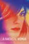 Watch A Fantastic Woman Movie Online