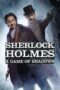 Watch Sherlock Holmes: A Game of Shadows Movie Online