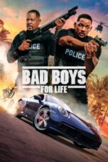 Watch Bad Boys for Life Streaming