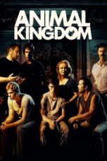 Watch Animal Kingdom Streaming