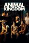 Watch Animal Kingdom Movie Online