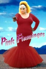 Watch Pink Flamingos (1972) Movie Online