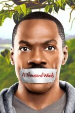 Watch A Thousand Words (2012) Streaming