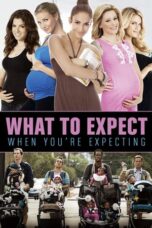 Watch What to Expect When You’re Expecting Streaming