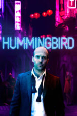 Watch Hummingbird (2013) Streaming