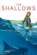 Watch The Shallows (2016) Movie Online