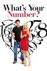 Watch What’s Your Number? Streaming