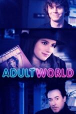 Watch Adult World (2013) Movie Online