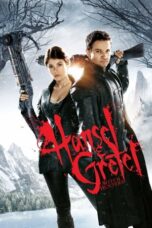 Watch Hansel & Gretel: Witch Hunters Streaming