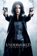 Watch Underworld: Awakening (2012) Streaming