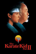 Watch The Karate Kid Part 2 (1986) Streaming