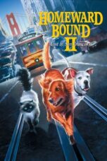 Watch Homeward Bound 2: Lost in San Francisco Streaming