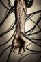 Watch Pandorum (2009) Movie Online