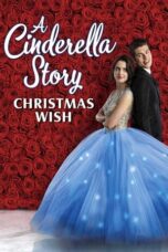 Watch A Cinderella Story: Christmas Wish Streaming