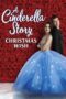 Watch A Cinderella Story: Christmas Wish Movie Online