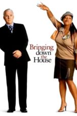 Watch Bringing Down the House Movie Online