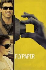 Watch Flypaper (2011) Movie Online