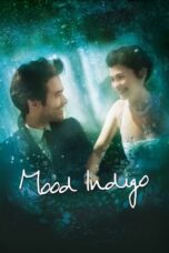 Watch Mood Indigo (2013) Streaming