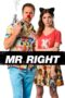 Watch Mr. Right (2016) Movie Online