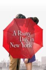 Watch A Rainy Day in New York Streaming