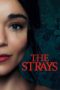 Watch The Strays (2023) Movie Online