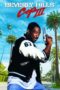 Watch Beverly Hills Cop 3 Movie Online