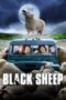 Watch Black Sheep (2007) Movie Online