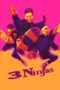 Watch 3 Ninjas (1992) Movie Online