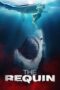 Watch The Requin (2022) Movie Online