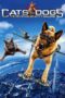 Watch Cats & Dogs: The Revenge of Kitty Galore Movie Online