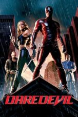 Watch Daredevil (2003) Movie Online