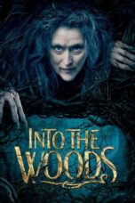 Watch Into the Woods (2014) Streaming