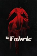 Watch In Fabric (2018) Streaming