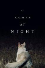 Watch It Comes at Night (2017) Streaming