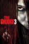 Watch The Grudge 3 (2009) Movie Online