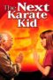 Watch The Next Karate Kid (1994) Movie Online