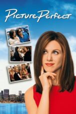 Watch Picture Perfect (1997) Streaming