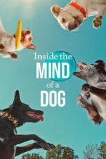 Watch Where to Watch: Inside the Mind of a Dog (2024) Streaming