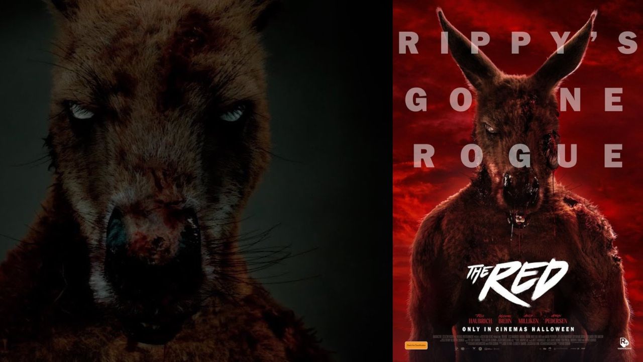 Watch Rippy (2024) Movie Trailer Review: The Zombie Kangaroo Horror-Comedy You Didn’t Know You Needed Movie Online