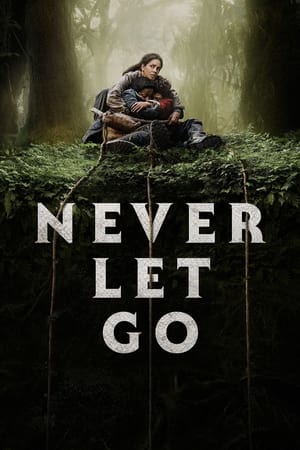 Watch Where to Watch: Never Let Go (2024) Streaming