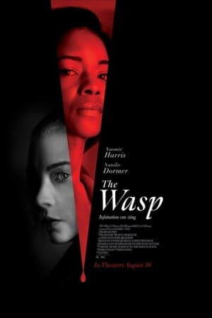 Watch Where to Watch: The Wasp (2024) Movie Online