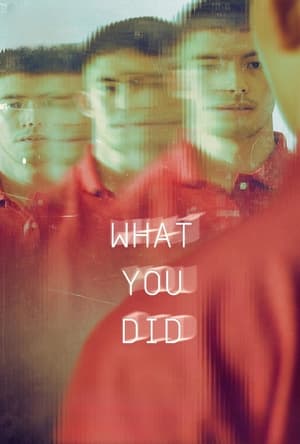 Watch Where to Watch: What You Did (2024) Streaming